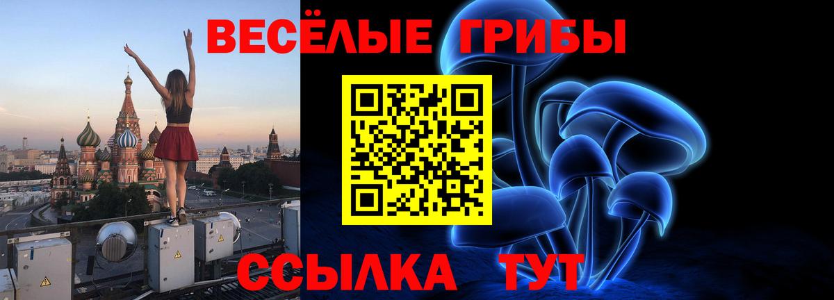 Псилоцибиновые грибы GOLDEN TEACHER  Вход с VPN  Черногорск 
