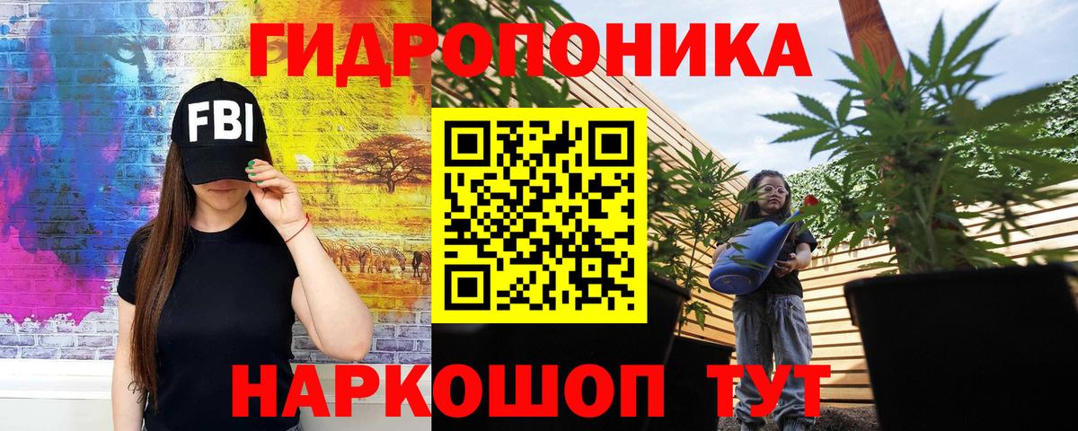 Конопля семена  Канабис конопля  Вход с VPN  Бошки марихуана тримм  Черногорск 